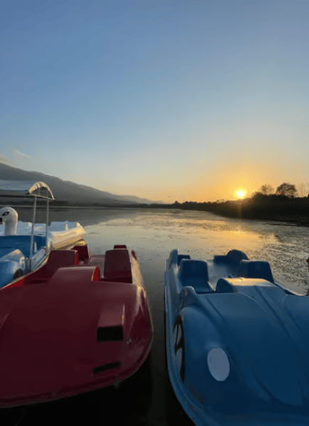 From Istanbul: Sapanca & Masukiye Tour with Cable Car | ®ExcursionMania
