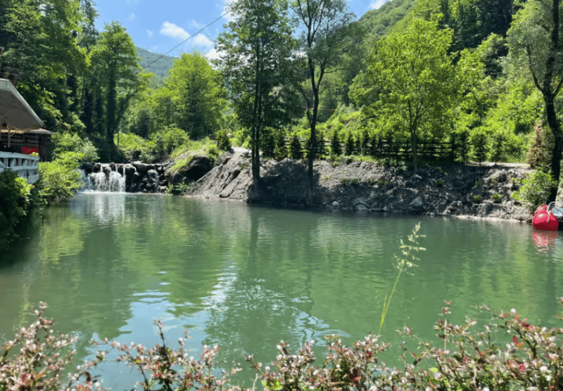 From Istanbul: Sapanca & Masukiye Tour with Cable Car | ®ExcursionMania