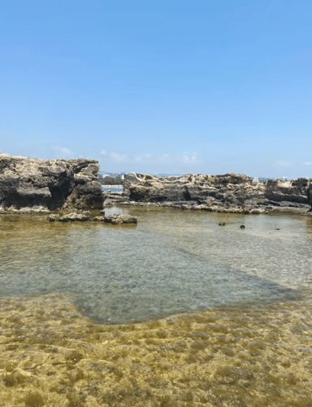 Side: Dolphin Island Boat Trip with Lunch & Unlimited Soft Drinks | ®ExcursionMania