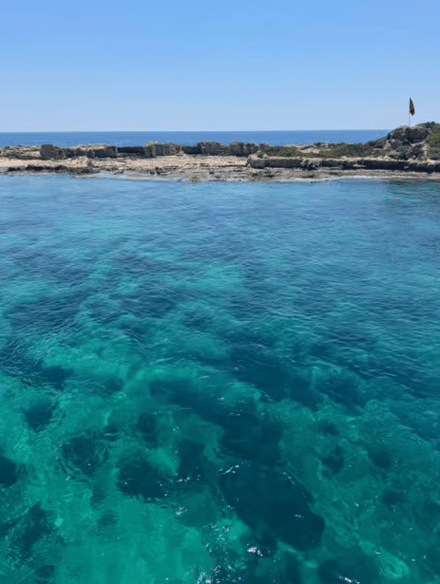 Side: Dolphin Island Boat Trip with Lunch & Unlimited Soft Drinks | ®ExcursionMania