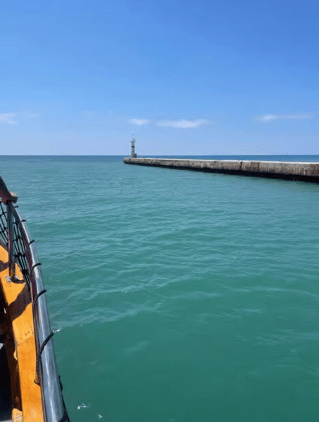 Side: Dolphin Island Boat Trip with Lunch & Unlimited Soft Drinks | ®ExcursionMania