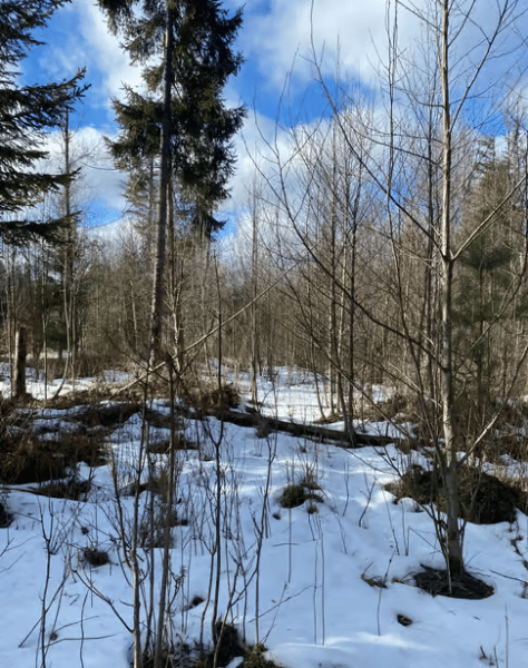 From Zakopane: Snowmobile Ride with Thermal Pools & Pickup | ®ExcursionMania