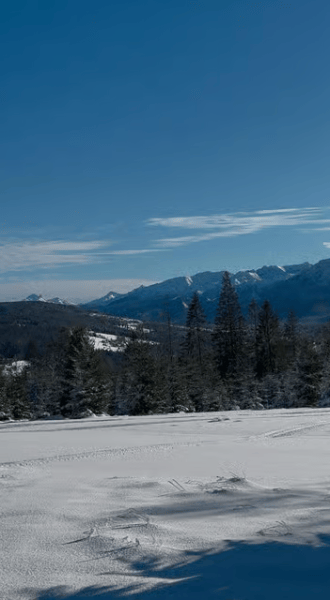 Zakopane: Extreme Snowmobile Ride with Bonfire and Transfers | ®ExcursionMania