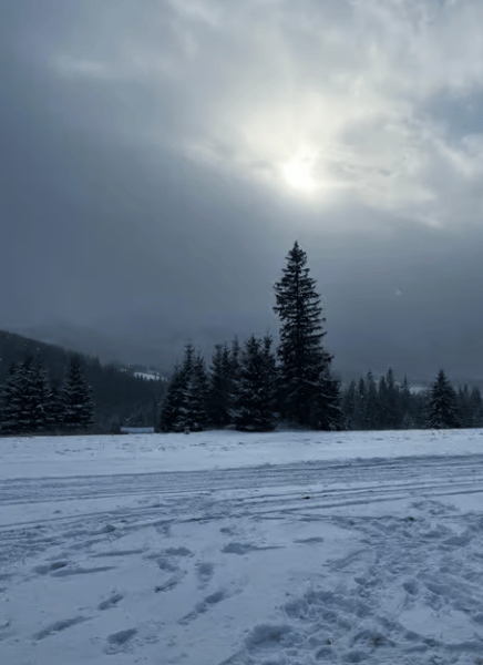 Zakopane: Extreme Snowmobile Ride with Bonfire and Transfers | ®ExcursionMania