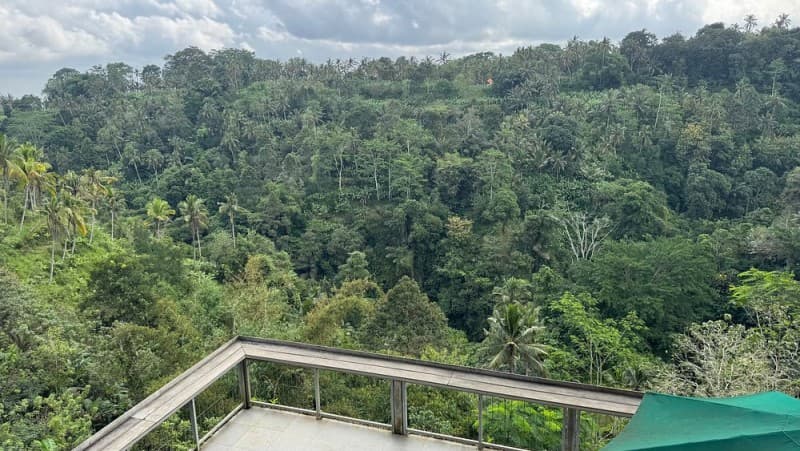 Gorilla Cave ATV Bali Ubud, Monkey Forest, Temple, and Lunch | ®ExcursionMania