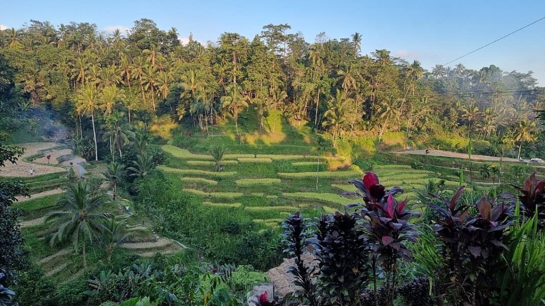 Highlights of Ubud & Mount Batur Volcano - Private Day Trip | ®ExcursionMania