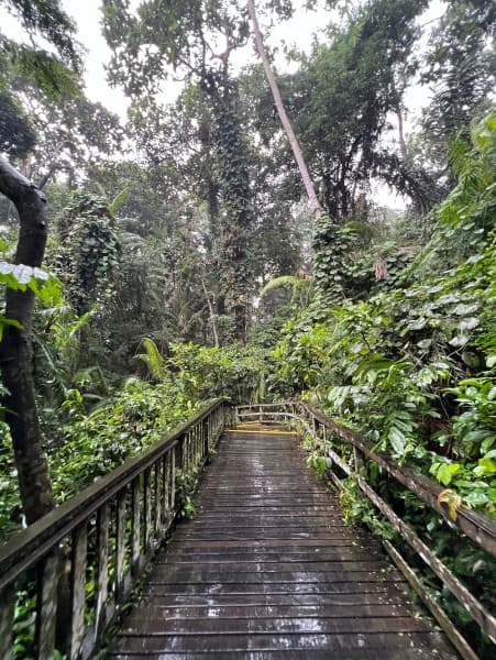 Highlights of Ubud & Mount Batur Volcano - Private Day Trip | ®ExcursionMania