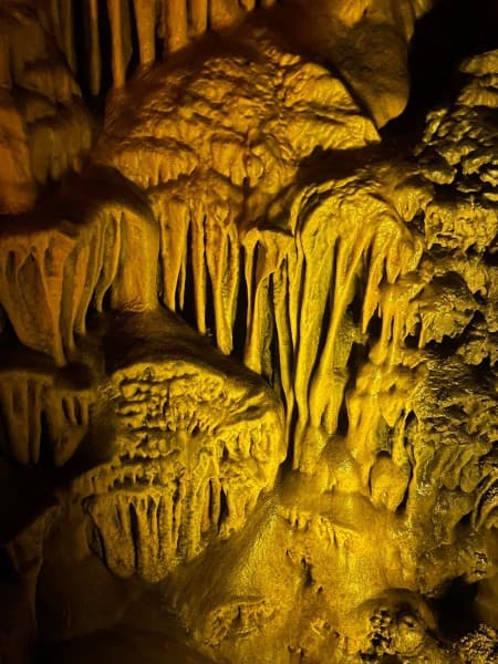 Alanya: Sapadere Canyon Tour: Scenic Journey, Stunning Views, and Nature Walk | ®ExcursionMania