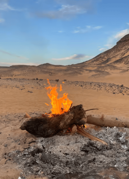 Cairo: Cairo: 2-Day Bahariya & White Desert Private Camp Adventure | ®ExcursionMania