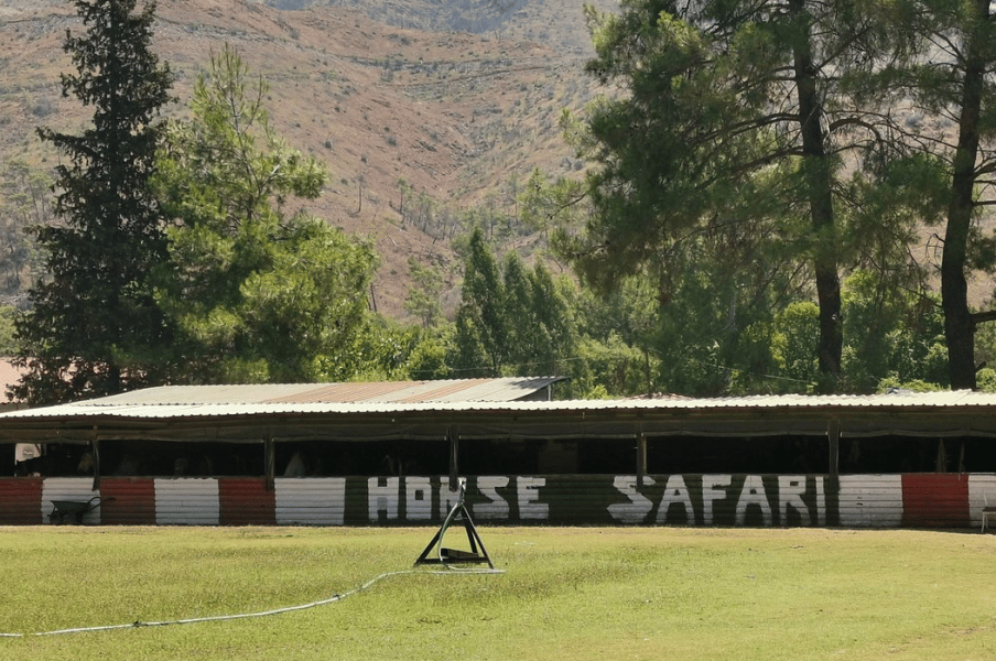 Turunç: Turunc Horse Safari With Free Hotel Pickup Service | ®ExcursionMania