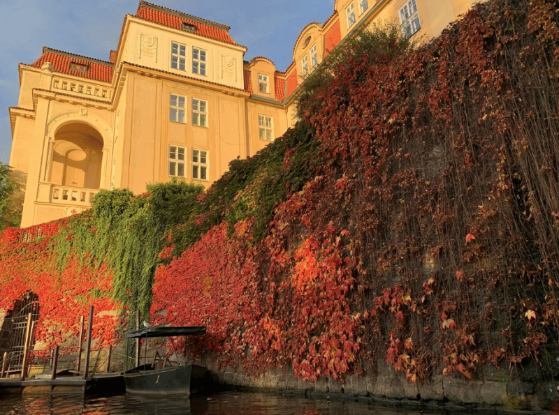 Prague : Best of Prague: Private City Walking Tour Boat Cruise and Czech Lunch | ®ExcursionMania