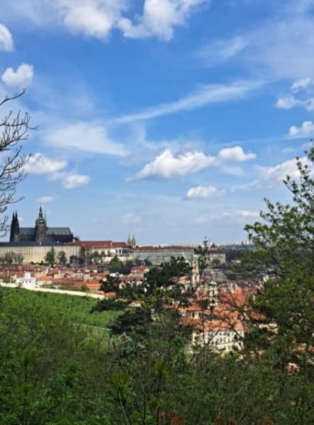 Prague : Private Scenic Evening Walking Tour In Prague | ®ExcursionMania