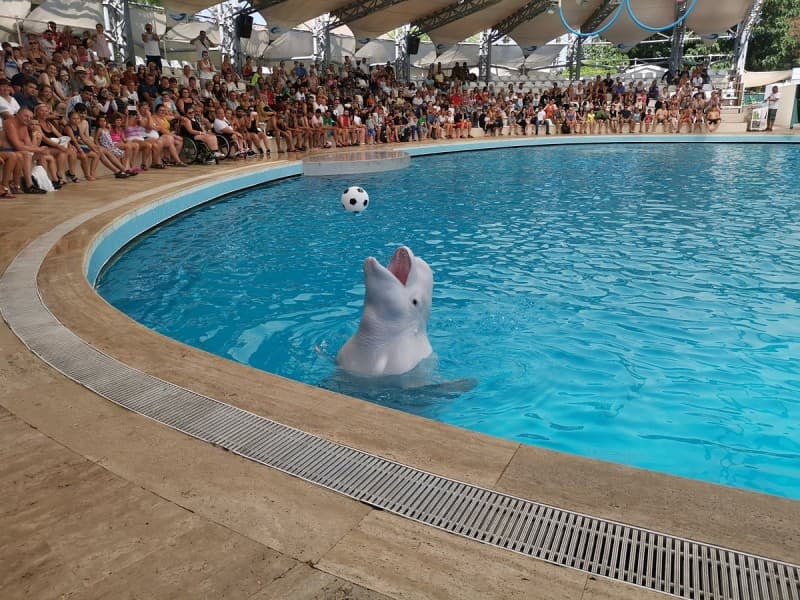 Side Aqualand Dolphinland Aquapark | ®ExcursionMania