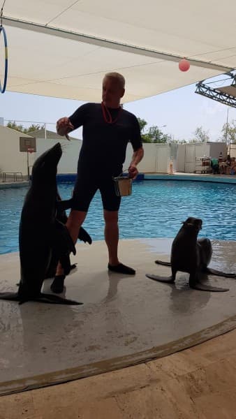 Side Aqualand Dolphinland Aquapark | ®ExcursionMania