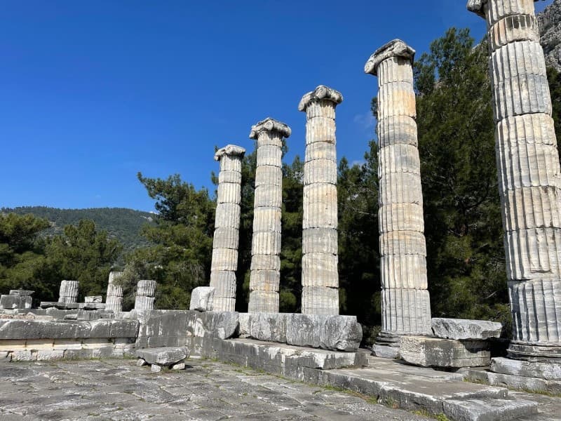 Izmir: Izmir: The Ultimate Priene Miletus & Didyma Experience | ®ExcursionMania