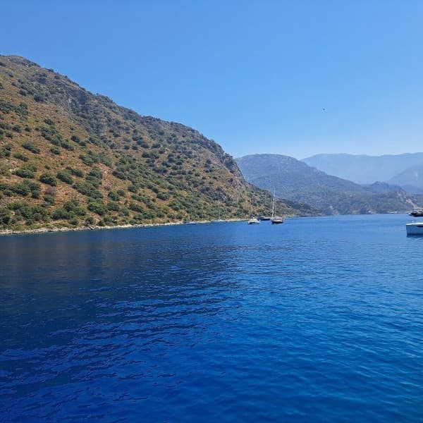 Fethiye: Butterfly Valley Boat Trip with Optional Pickup | ®ExcursionMania