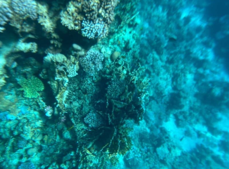 Excursion to Ras Mohammed Sharm El Sheikh by bus | ®ExcursionMania