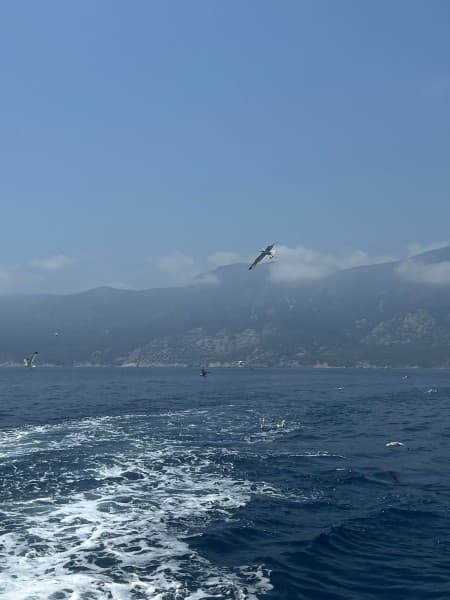 Suluada Tour from Antalya: Swimming and Lunch Included | ®ExcursionMania