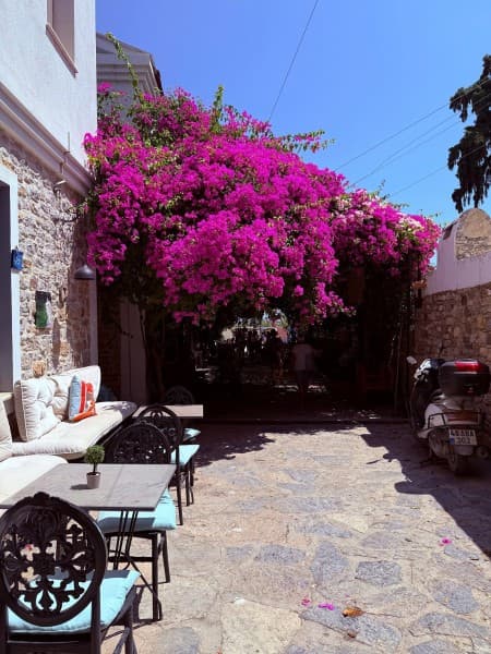 Marmaris: Marmaris: Datca Tour  W/ Lunch & Hotel Pickup Service | ®ExcursionMania