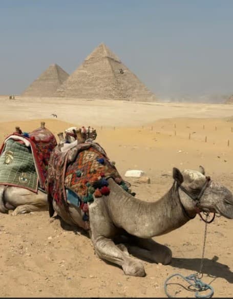 From Cairo: Half-Day Tour to Pyramids of Giza and the Sphinx | ®ExcursionMania