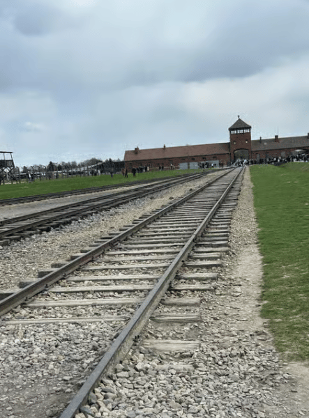 Krakow: From Krakow: Auschwitz and Wieliczka Salt Mine Full-Day Trip | ®ExcursionMania