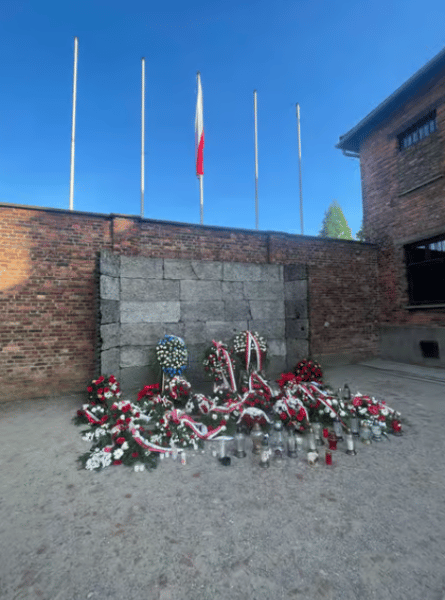 Auschwitz-Birkenau Memorial Tour: A Day of Reflection and History | ®ExcursionMania