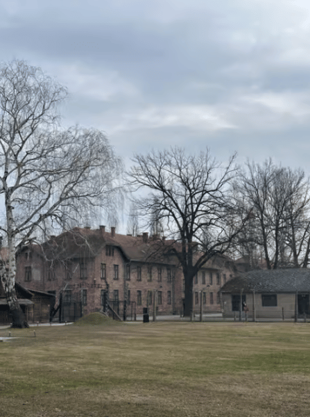 Auschwitz-Birkenau Memorial Tour: A Day of Reflection and History | ®ExcursionMania