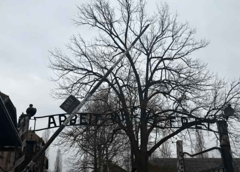 Auschwitz-Birkenau Memorial Tour: A Day of Reflection and History | ®ExcursionMania