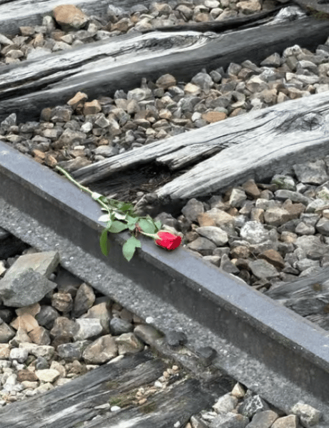 Auschwitz-Birkenau Memorial Tour: A Day of Reflection and History | ®ExcursionMania