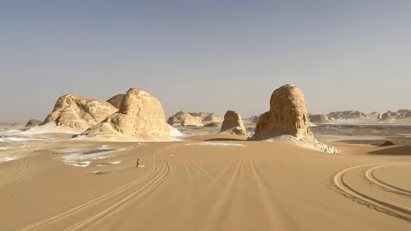 Cairo: 2-Day Bahariya Oasis Camp and Desert Tour | ®ExcursionMania