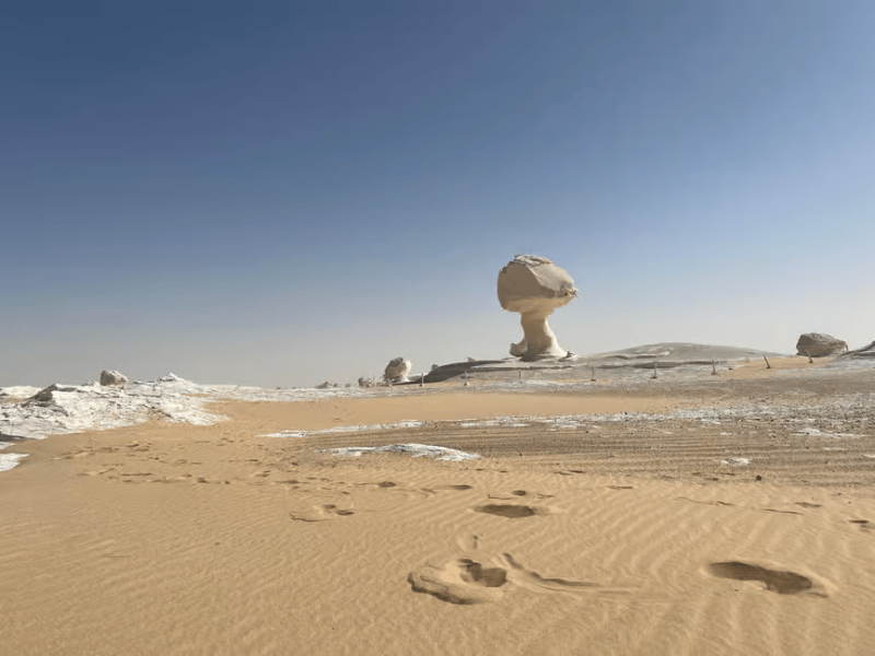 Cairo: 2-Day Bahariya Oasis Camp and Desert Tour | ®ExcursionMania