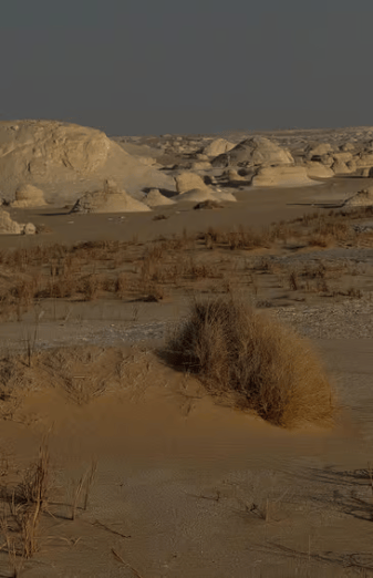 Cairo: 2-Day Bahariya Oasis Camp and Desert Tour | ®ExcursionMania