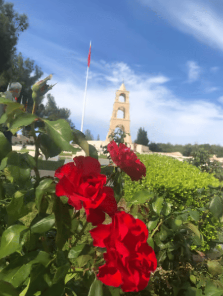 2-Day Gallipoli & Troy Tour from Istanbul with Hotel Accommodation | ®ExcursionMania