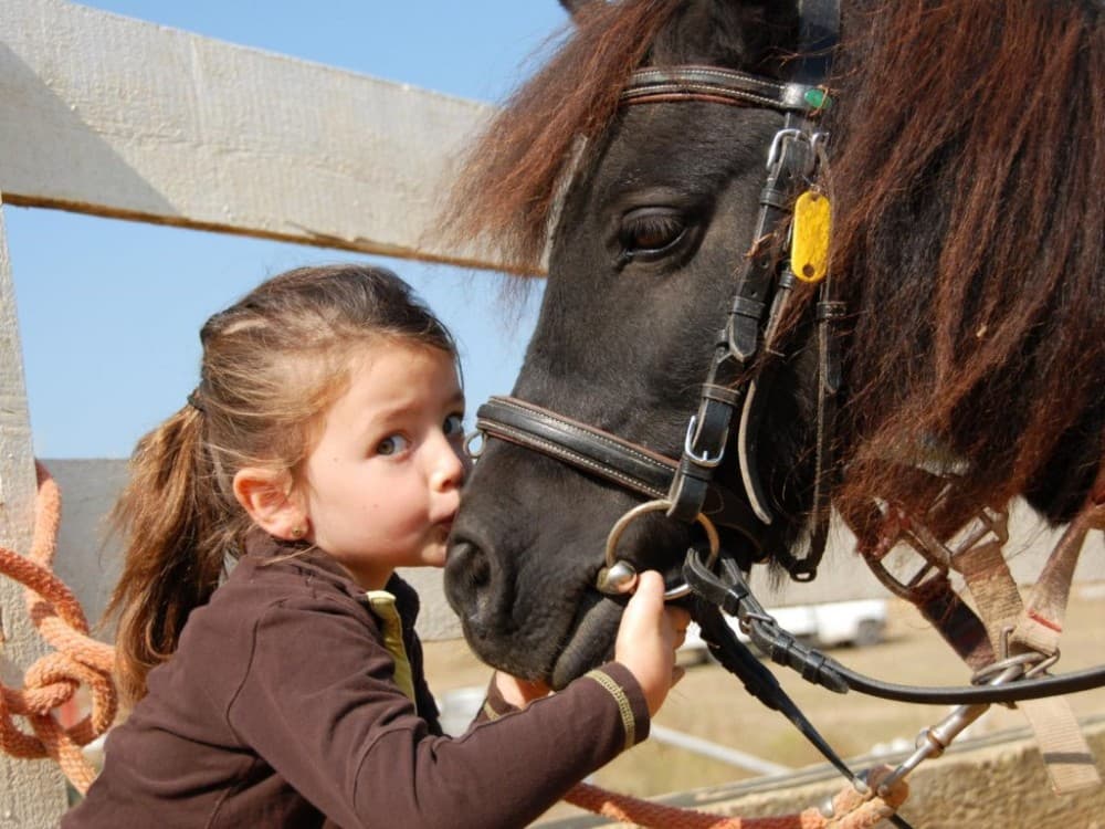 Mini Riders: Pony Fun in Marmaris | ®ExcursionMania