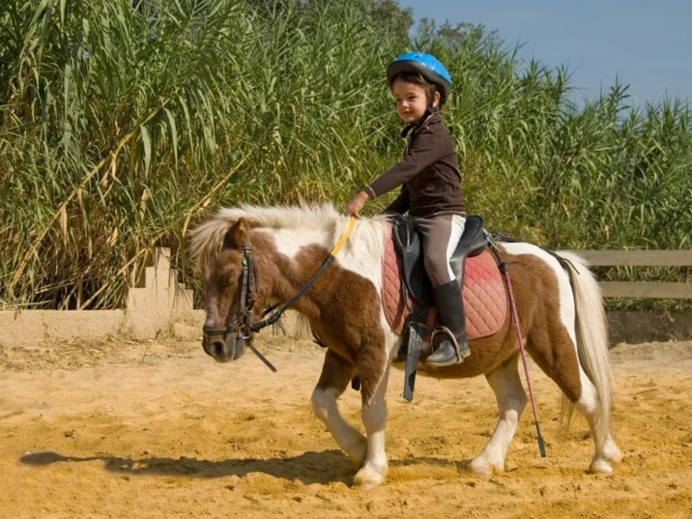 Mini Riders: Pony Fun in Marmaris | ®ExcursionMania