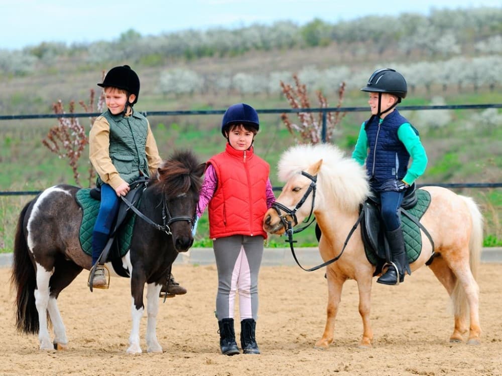 Mini Riders: Pony Fun in Marmaris | ®ExcursionMania