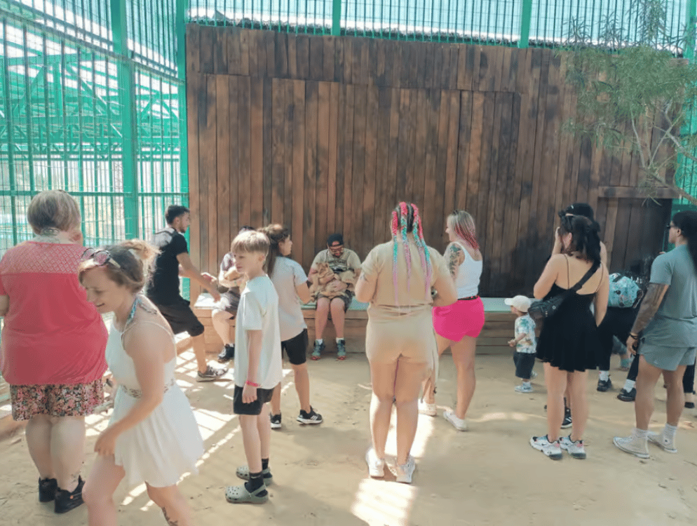 Side: Lion Safari & Splash Feast in Green Canyon w/Lunch | ®ExcursionMania