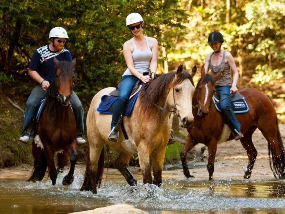 Marmaris Combo Tour 2 Horse Safari-Canoeing Tour | ®ExcursionMania