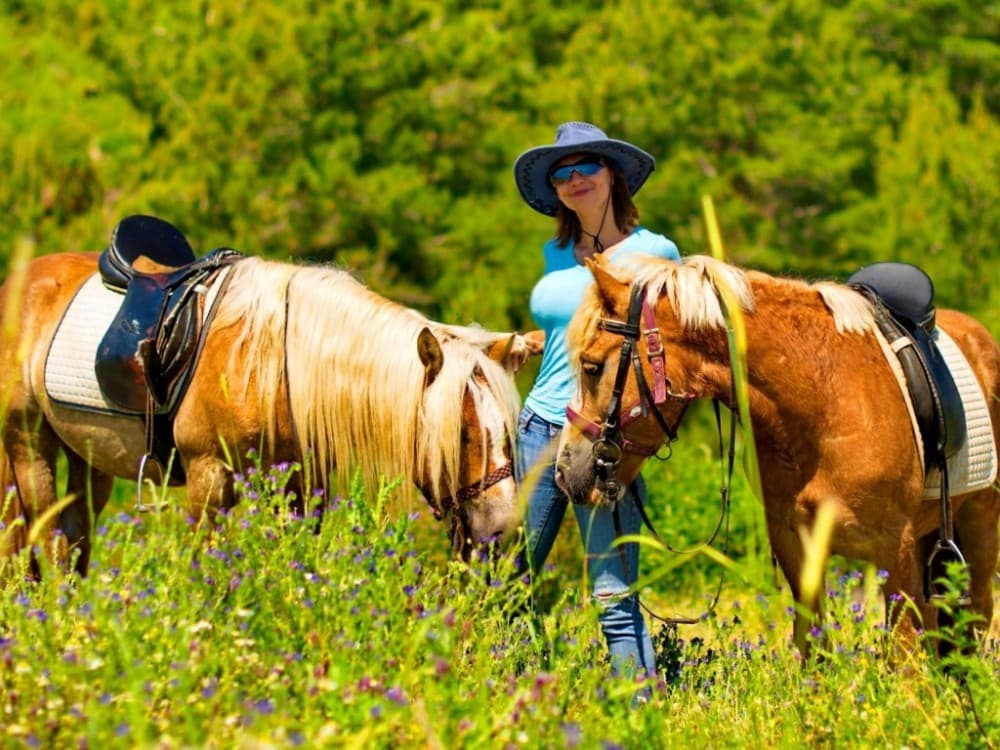Marmaris Combo Tour 2 Horse Safari-Canoeing Tour | ®ExcursionMania