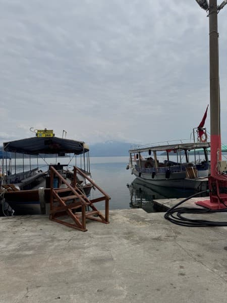 From Fethiye: Dalyan Mud Baths and Turtle Beach Day Tour | ®ExcursionMania