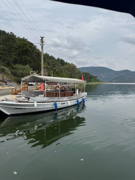 From Fethiye: Dalyan Mud Baths and Turtle Beach Day Tour | ®ExcursionMania