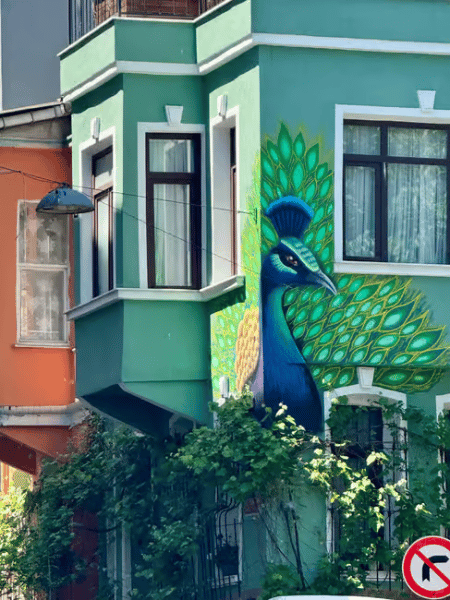 Istanbul: Fener Balat Half-day Guided Walking Tour | ®ExcursionMania
