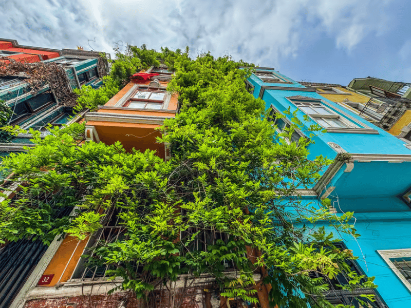 Istanbul: Fener Balat Half-day Guided Walking Tour | ®ExcursionMania