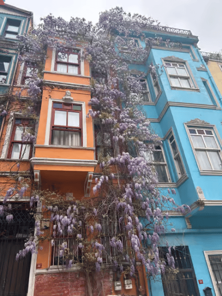 Istanbul: Fener Balat Half-day Guided Walking Tour | ®ExcursionMania