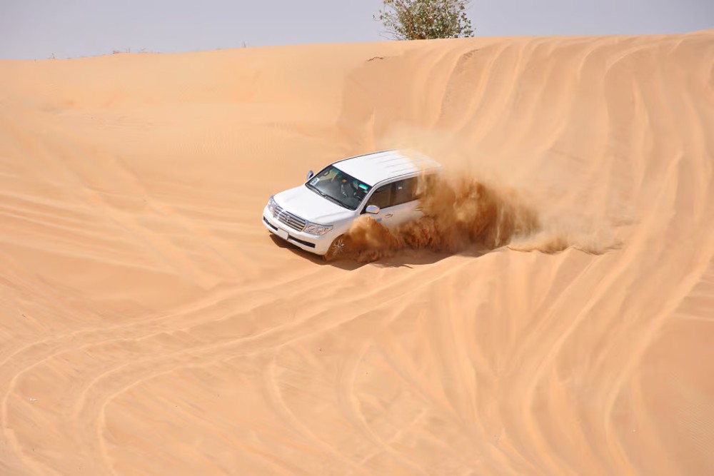 Doha: Desert Safari w/ Quad Bike Sandboarding  Camel Ride | ®ExcursionMania