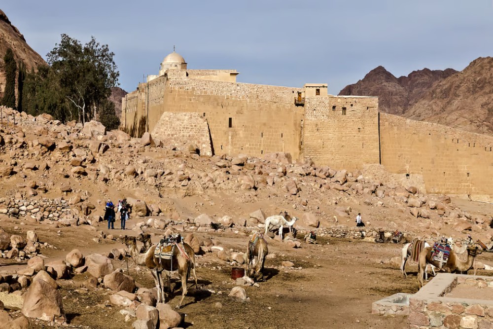 From Sharm: Mount Moses Trekking Sunrise & Monastery Visit | ®ExcursionMania