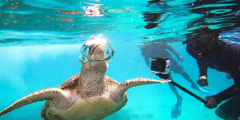 Muscat: Daymaniat Islands Snorkeling Trip | ®ExcursionMania