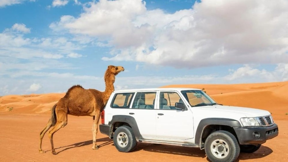 Wahiba Sand and Wadi Bani Khalid Guided Group Tour | ®ExcursionMania
