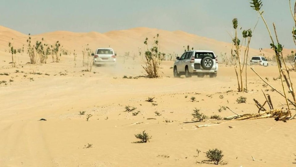 Wahiba Sand and Wadi Bani Khalid Guided Group Tour | ®ExcursionMania