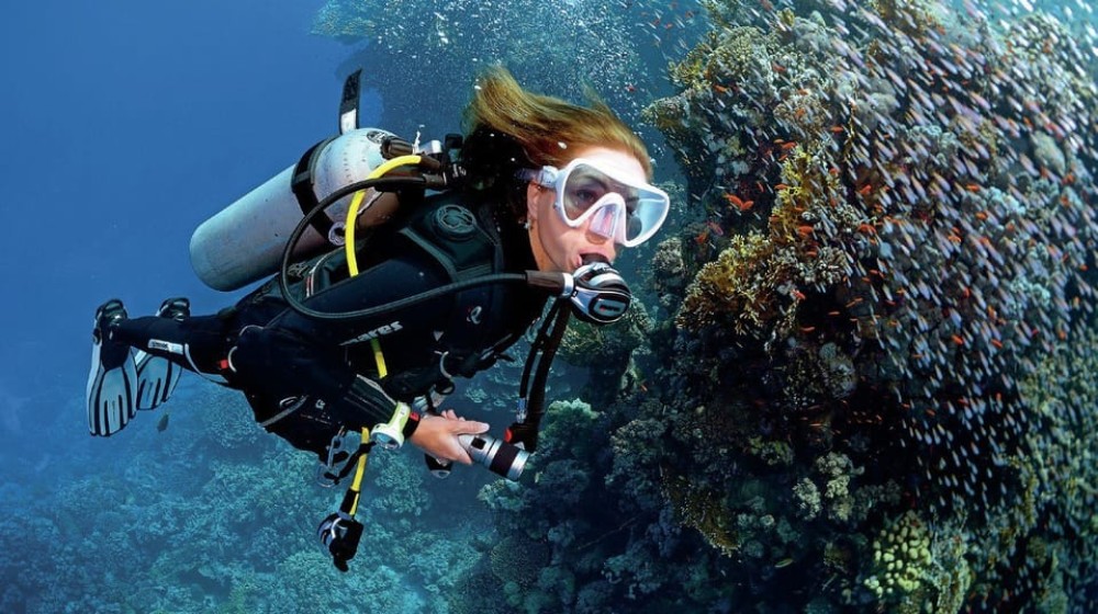 From Sharm: Ras Muhammed & White Island By Boat & intro Dive | ®ExcursionMania
